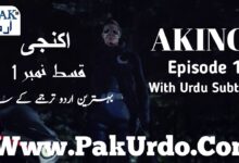 Akici Episode 1 With Urdu Subtitle Free Of Cost