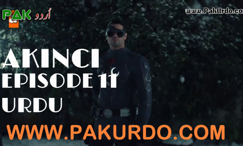 Rider Episode 11 With Urdu Subtitle Free