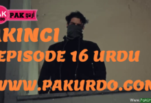 Rider Episode 16 Urdu Subtitle Free