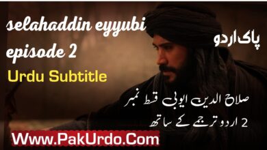 Selahaddin Eyyubi Episode 2 With Urdu Subtitle Free