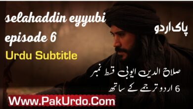 Salahuddin Ayyubi Season 1 Episode 6 Urdu Subtitle Free