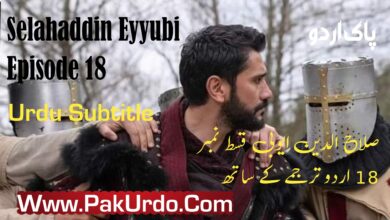Selahaddin Eyyubi Episode 18 In Urdu Free