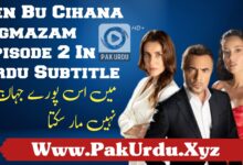 Watch Ben Bu Cihana Sigmazam Episode 2 In Urdu Subtitle Free